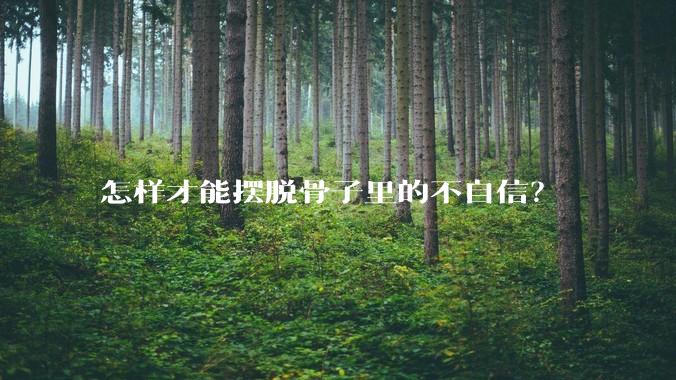 怎样才能摆脱骨子里的不自信？