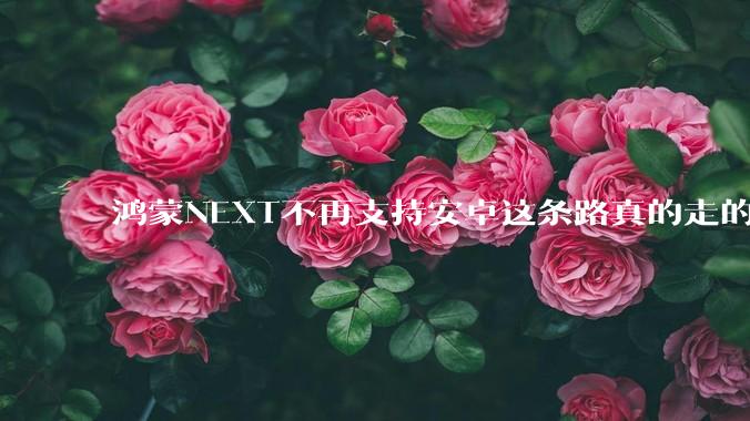 鸿蒙NEXT不再支持安卓这条路真的走的通吗?