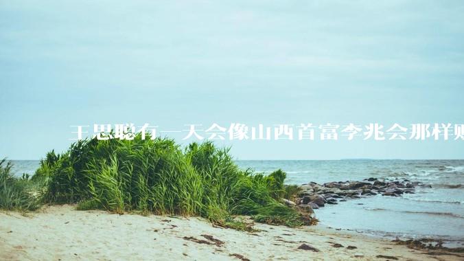 王思聪有一天会像山西首富李兆会那样败光家产吗？
